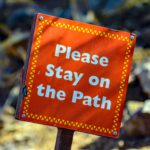 ERISA Electronic Disclosure Rules Pathway